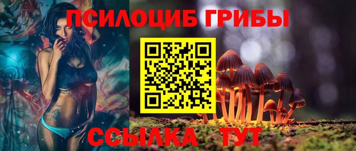 магазин    Вход с VPN  Усть-Джегута  Псилоцибиновые грибы GOLDEN TEACHER 